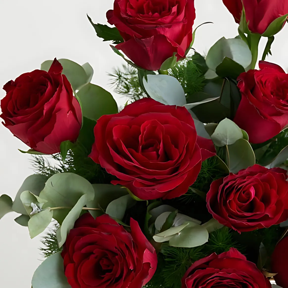 Vazoda 15'li Kırmızı Gül - Rosentra | Premium Flowers