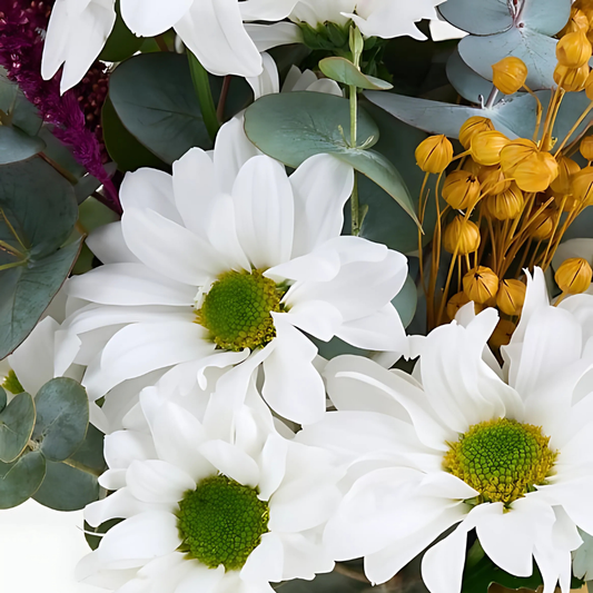 Simple Joy – Yeşil Vazoda Beyaz Papatya