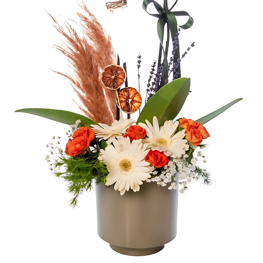 Gri Saksıda Papatya ve Gül Süslemeli Beyaz Orkide - Rosentra | Premium Flowers