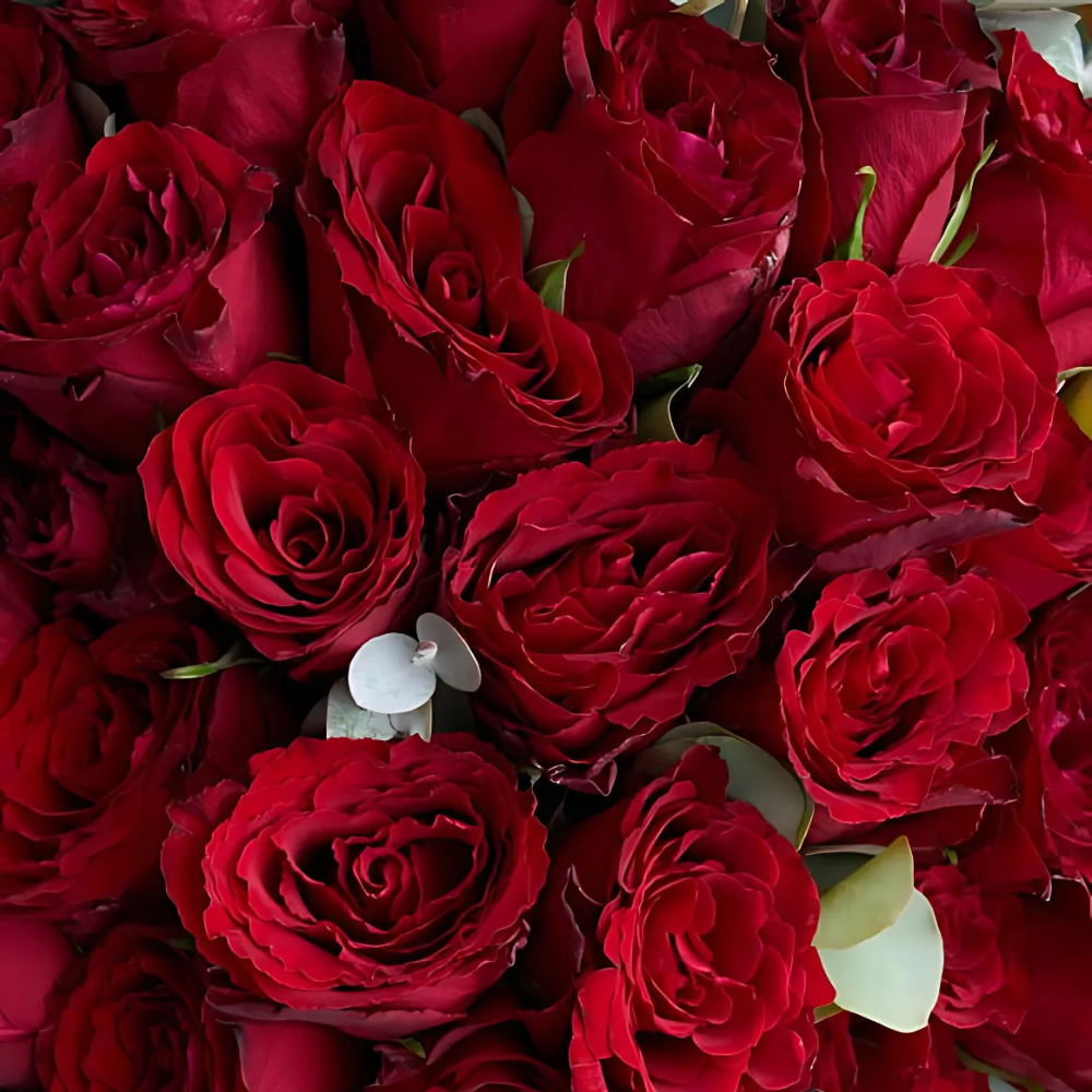 Premium Kraft 35 Kırmızı Gül Buketi - Rosentra | Premium Flowers