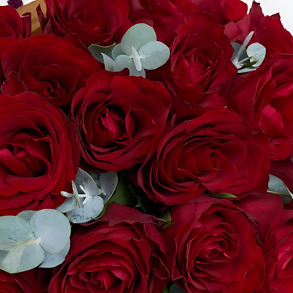 Premium Siyah Kağıtta 60 Kırmızı Gül Buketi - Rosentra | Premium Flowers