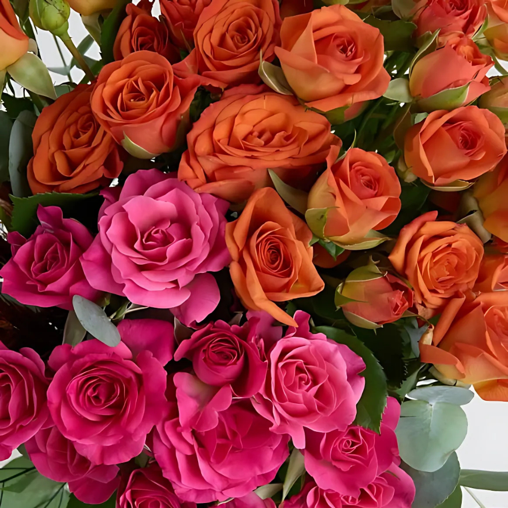 Premium Cam Vazoda Pembe ve Turuncu Çardak Güller - Rosentra | Premium Flowers