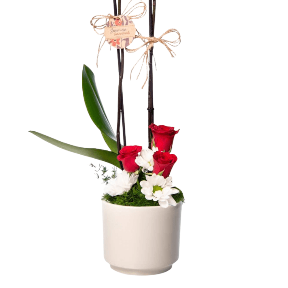 Çift Dal Ateş Kırmızısı Orkide & Kırmızı Gül - Rosentra | Premium Flowers