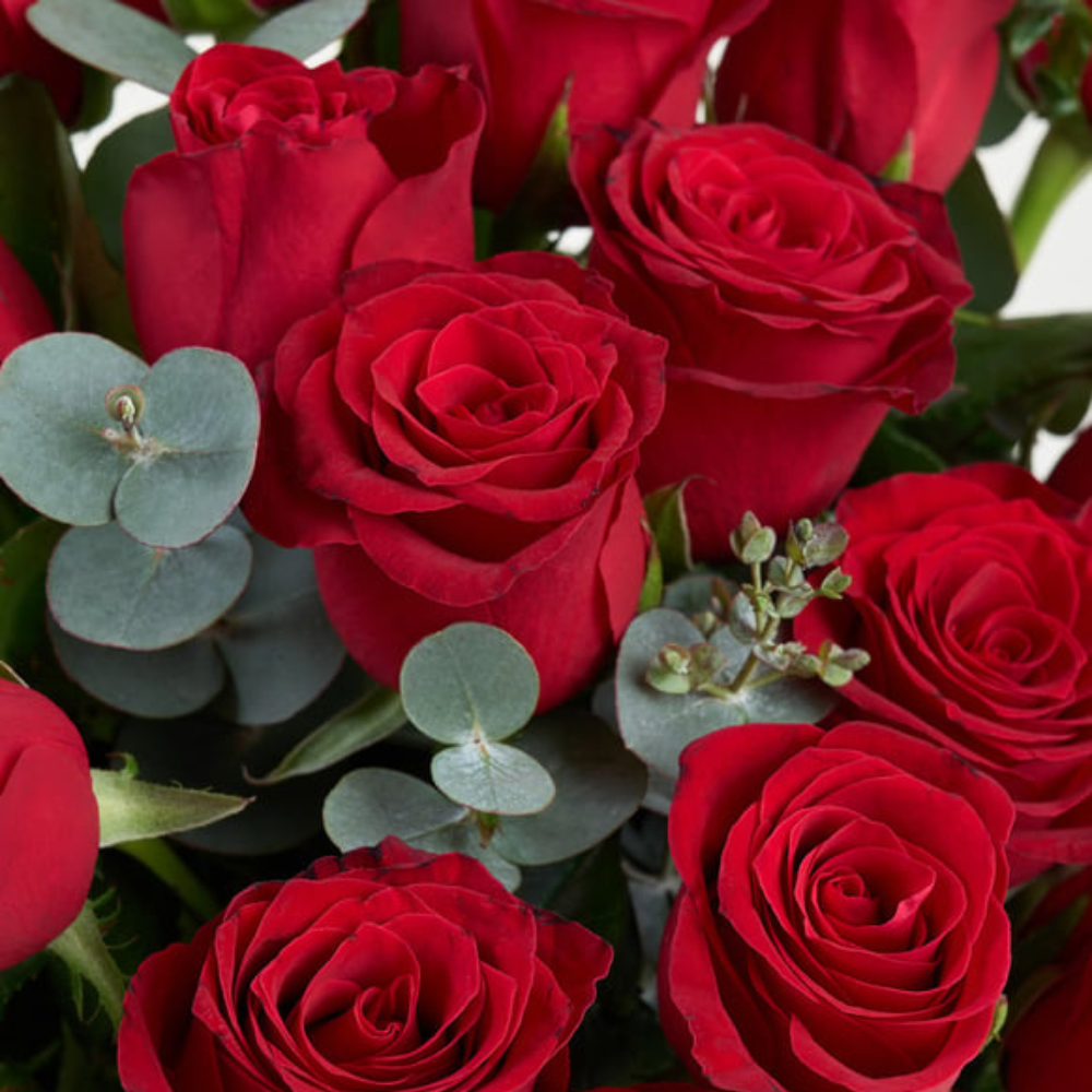 Premium Cam Vazoda 25 Kırmızı Gül