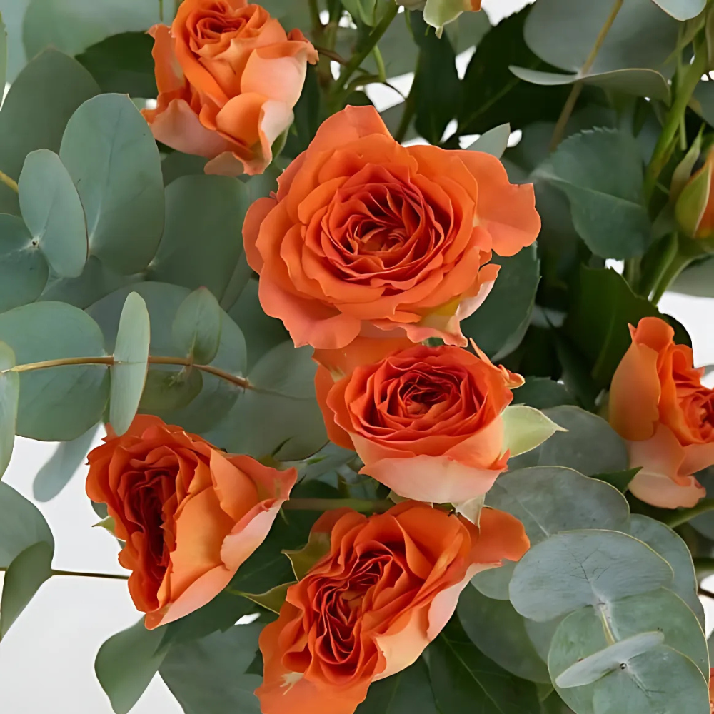 Premium Cam Vazoda Turuncu Çardak Güller - Rosentra | Premium Flowers