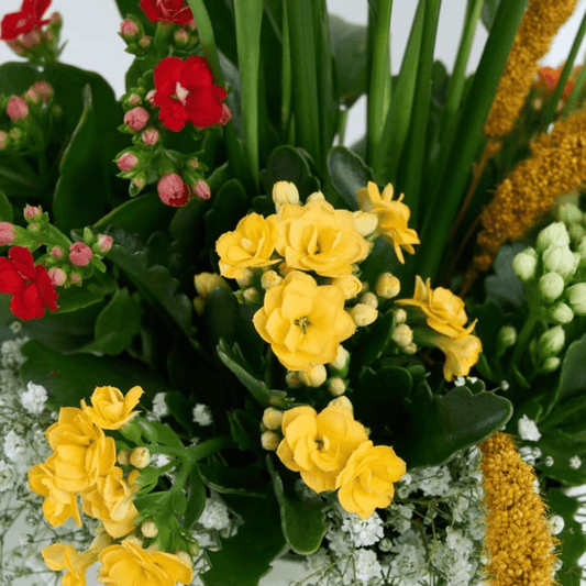 Beyaz Saksıda Spatifilyum ve Kalanchoe - Rosentra | Premium Flowers