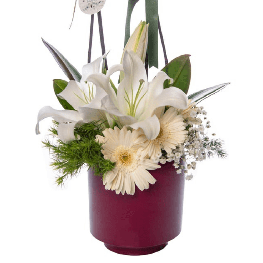 Saksıda Mor Orkide & Beyaz Lilyum & Gerbera - Rosentra | Premium Flowers