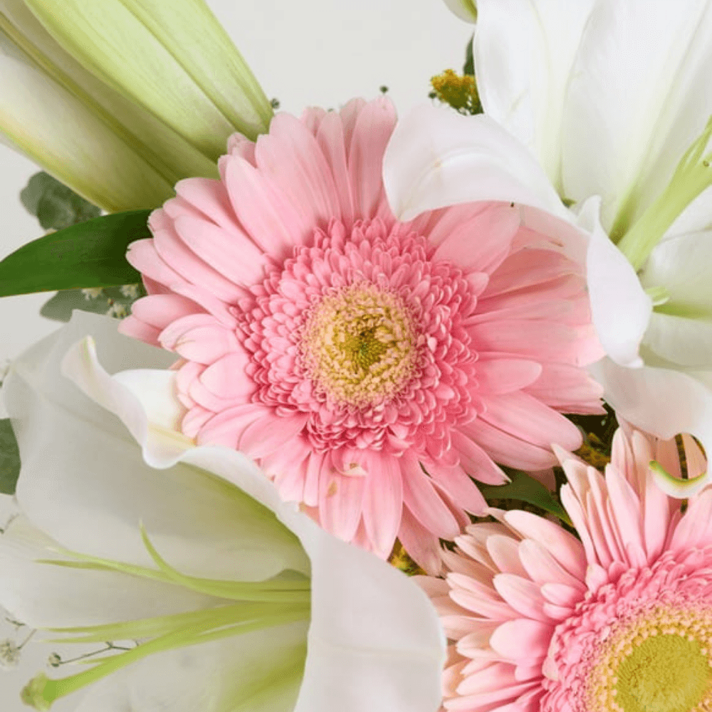 Vazoda Lilyum ve Pembe Gerberalar - Rosentra | Premium Flowers