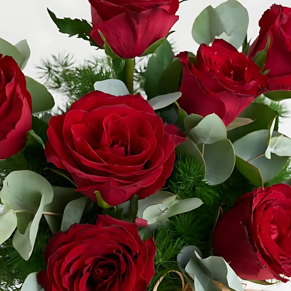 Vazoda 7'li Kırmızı Gül - Rosentra | Premium Flowers