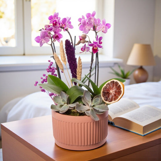 Amber Bloom – 4 Dal Mini Mor Orkide