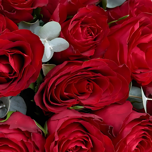 🌷 Gül ve Çiçekler ile Romantik Sürprizler - Rosentra