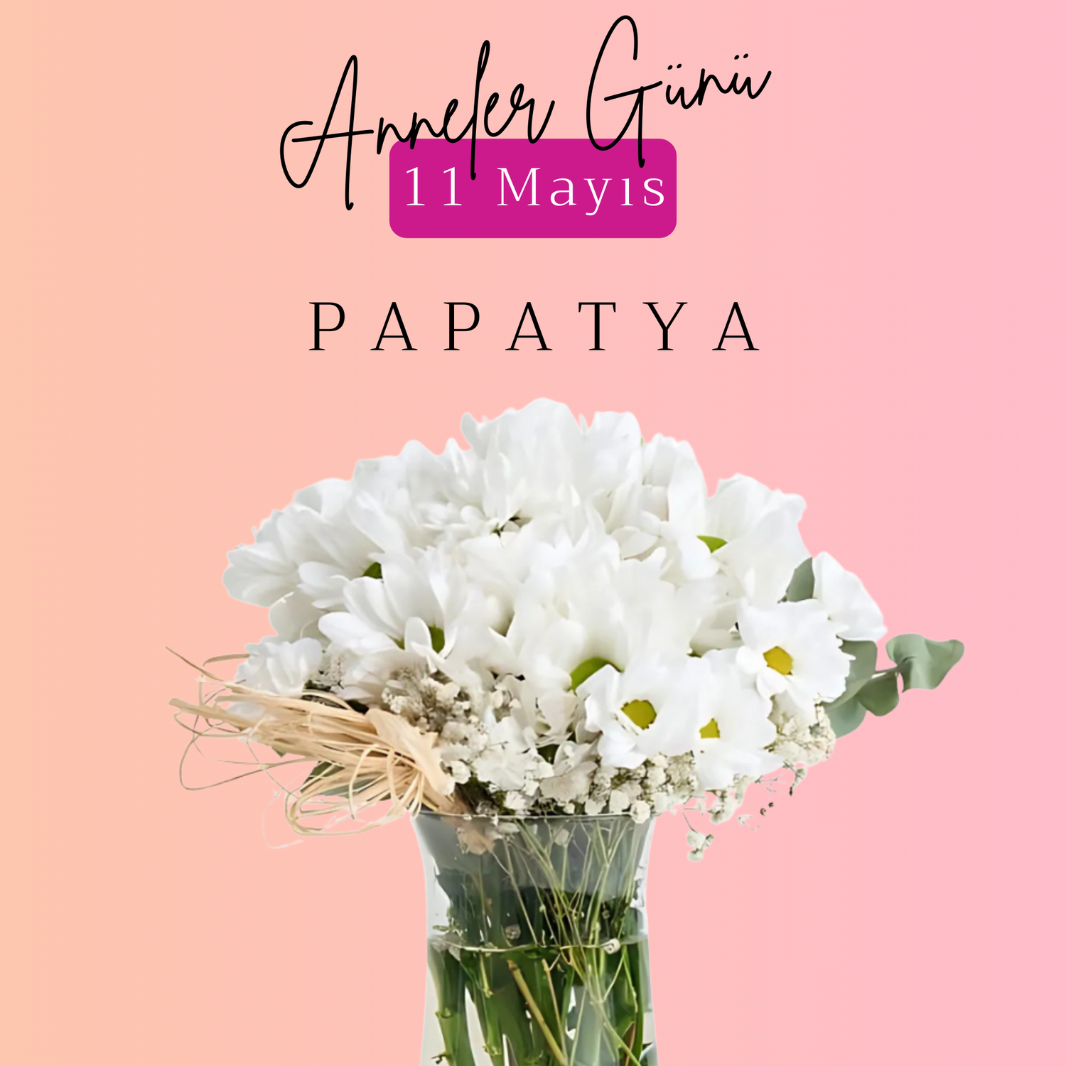 Papatya