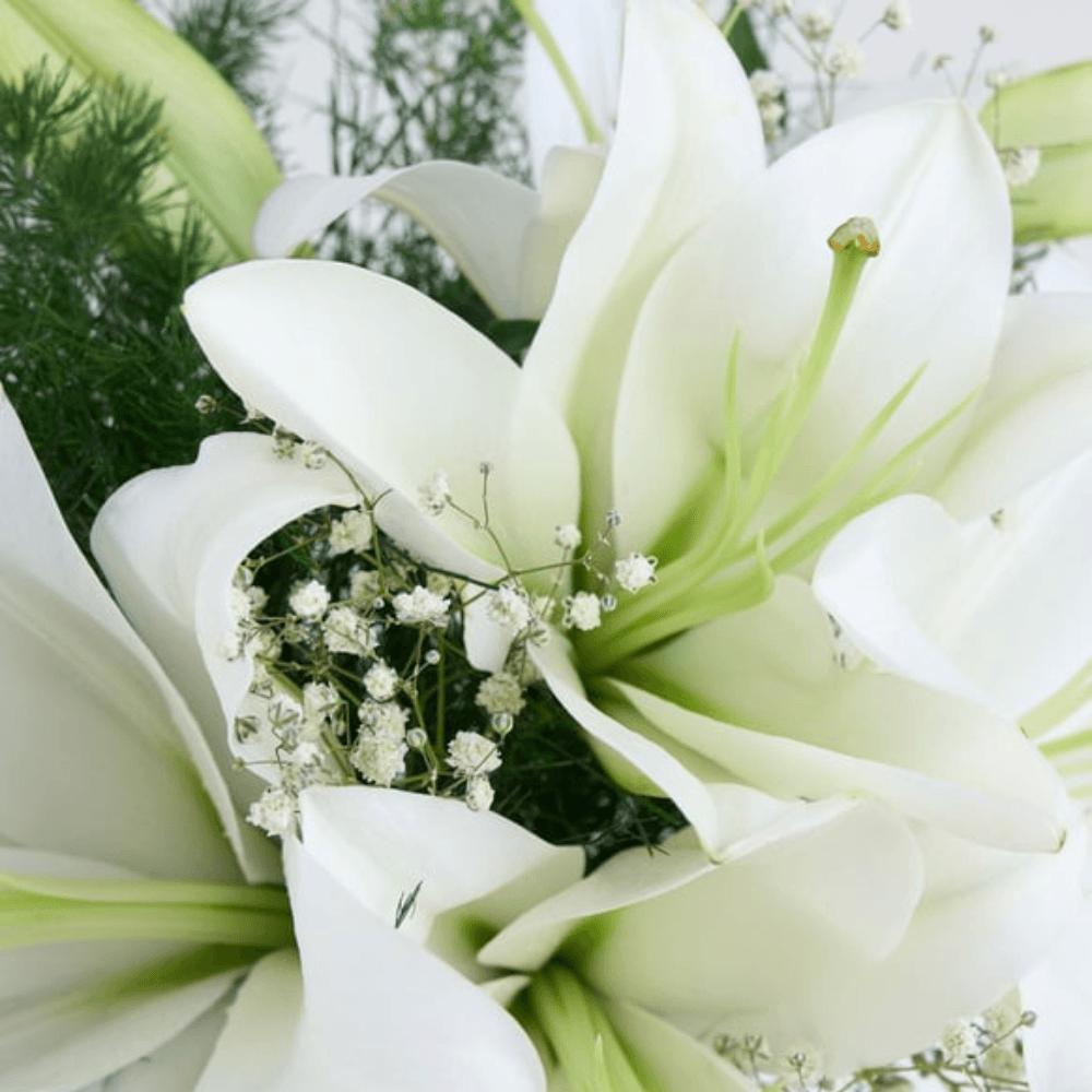 Lilyum - Rosentra | Premium Flowers