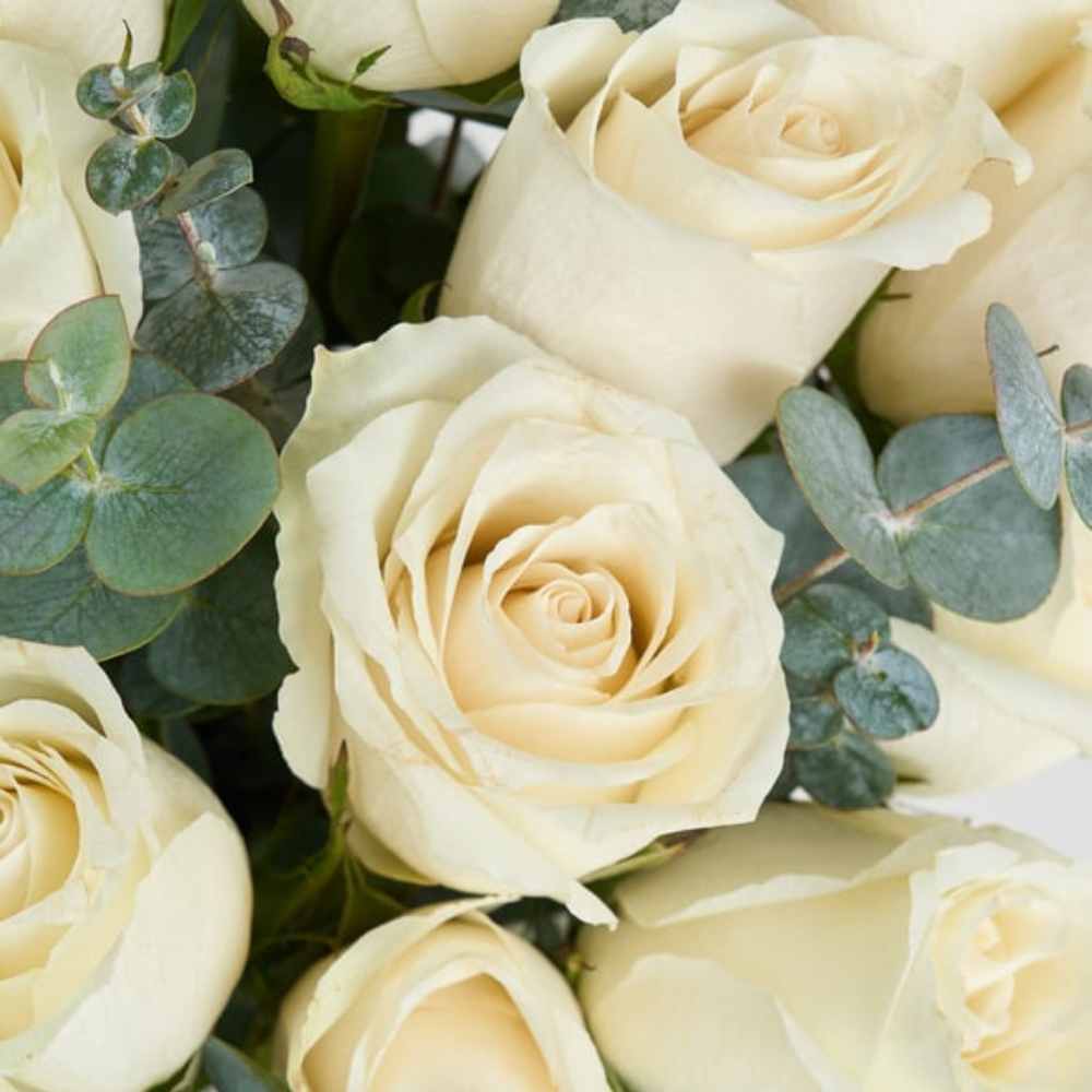 Vazoda 11'li Beyaz Gül - Rosentra | Premium Flowers