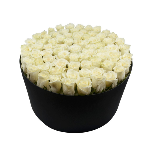 Büyük Silindir Kutuda Beyaz Gül - Rosentra | Premium Flowers