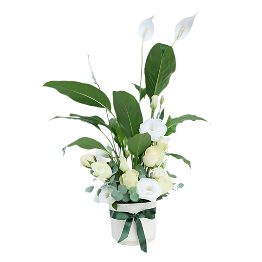 White Garden – Beyaz Saksıda Spatifilyum, Beyaz Gül ve Lisyantus