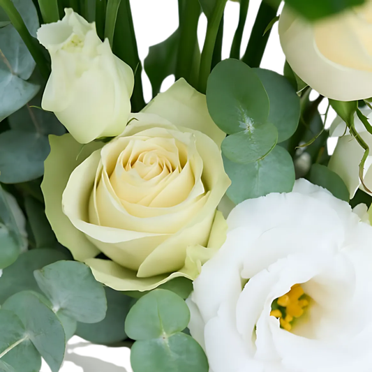 White Garden – Beyaz Saksıda Spatifilyum, Beyaz Gül ve Lisyantus