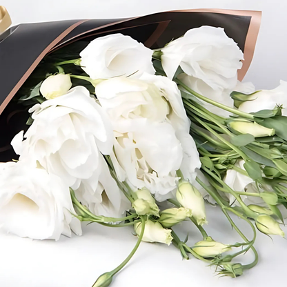 Elegant White – Siyah Bukette Beyaz Lisyantus