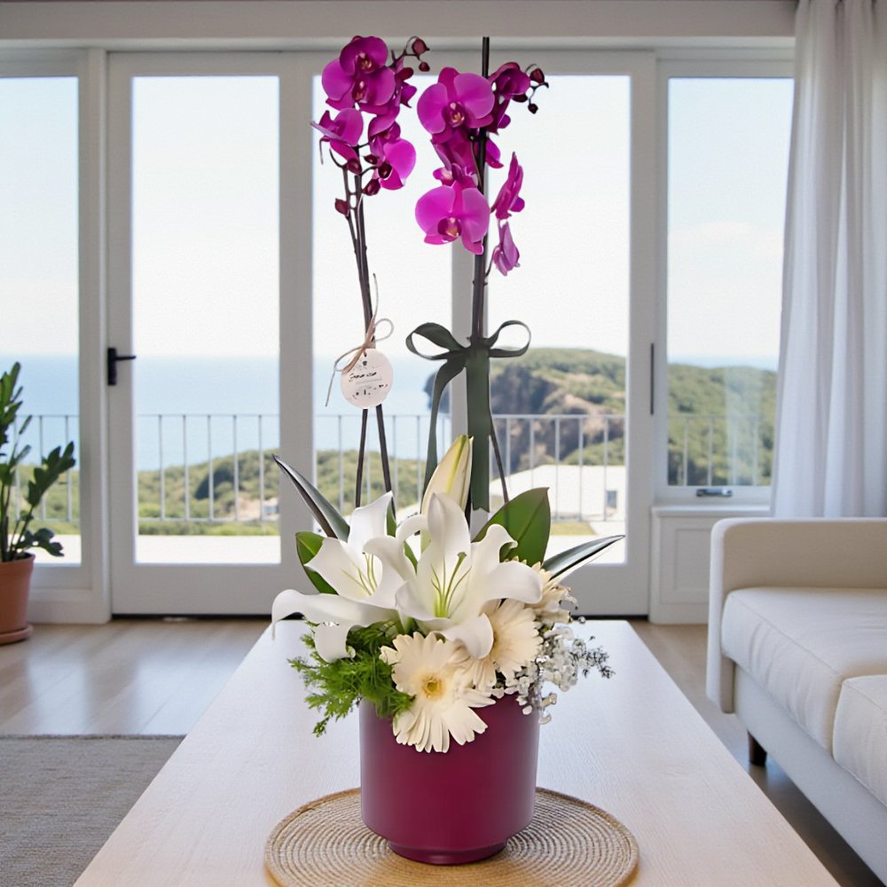 Saksıda Mor Orkide & Beyaz Lilyum & Gerbera