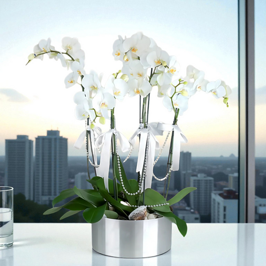 5 Dal Beyaz Orkide Aranjmanı